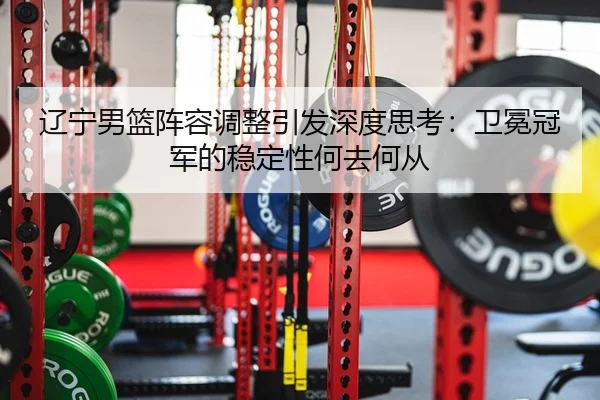 辽宁男篮阵容调整引发深度思考：卫冕冠军的稳定性何去何从